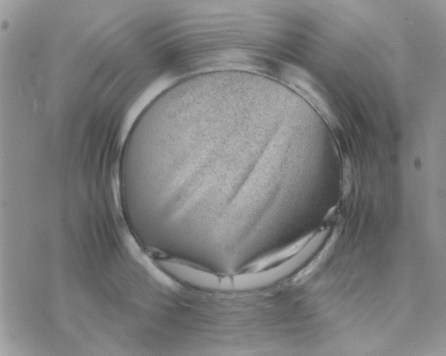 X0000070410812200606302035