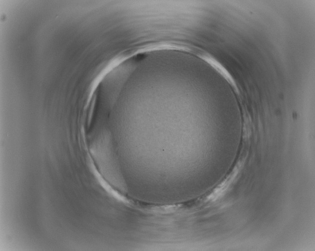 X0000070410813200606302035