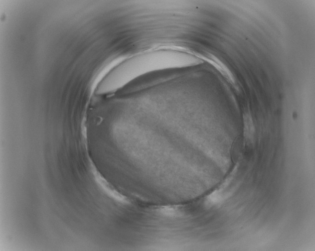 X0000070410814200606302035