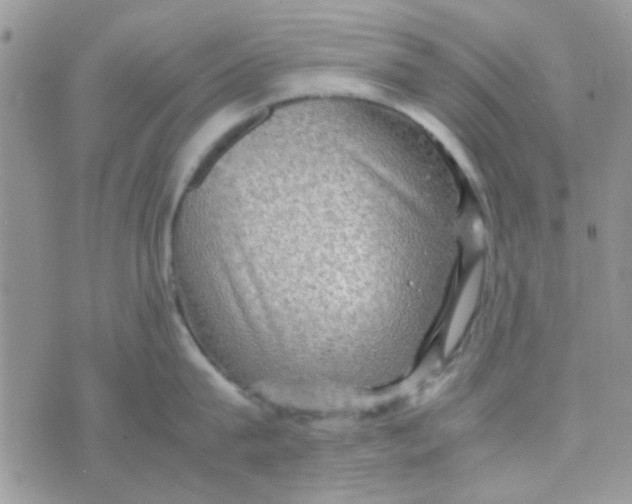 X0000070410815200606302035