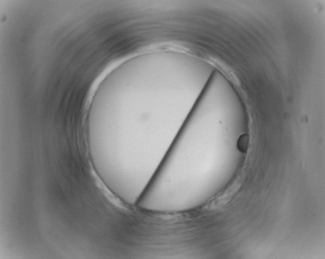 X0000070410816200606302035