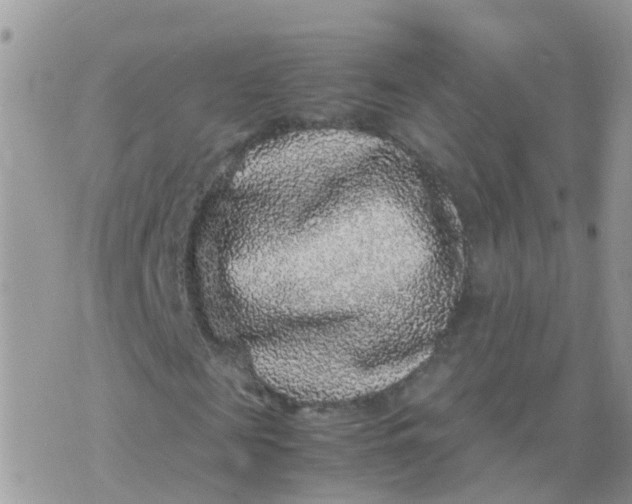 X0000070410817200606302034