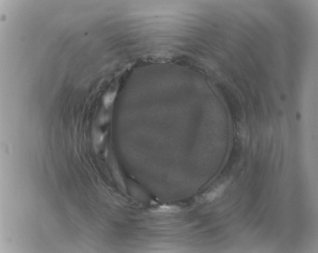 X0000070410818200606302034