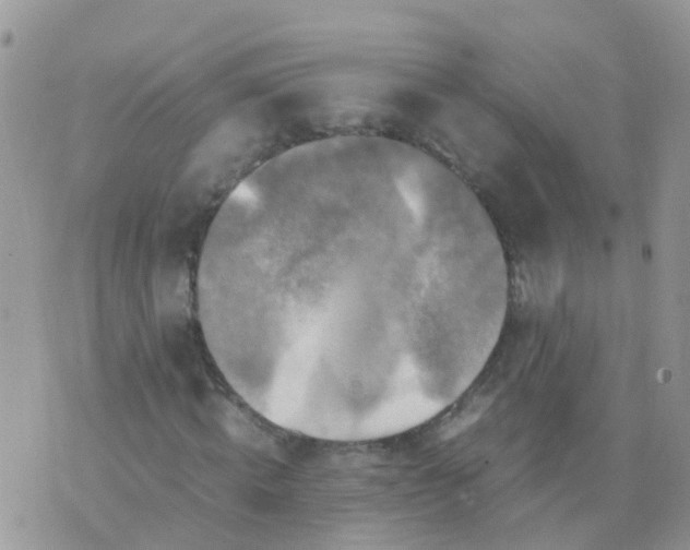 X0000070410820200606302034