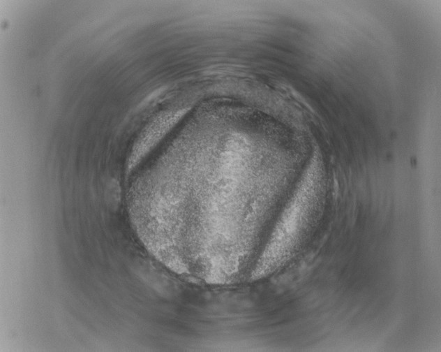 X0000070410821200606302034