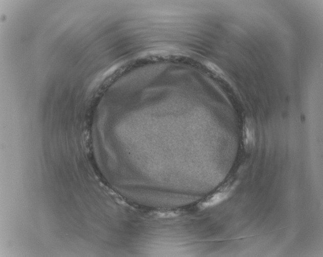 X0000070410822200606302034