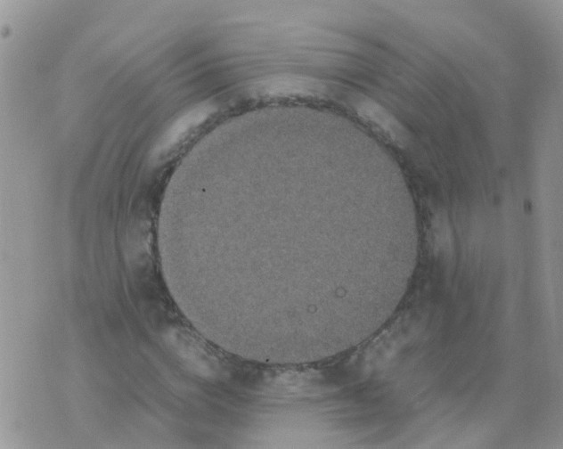 X0000070410824200606302034