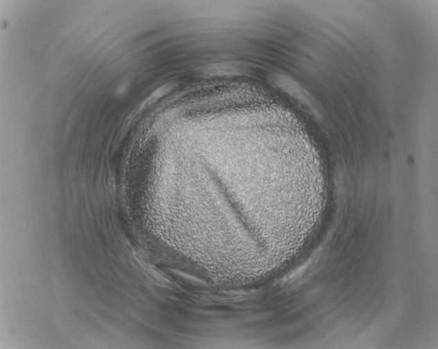 X0000070410825200606302034