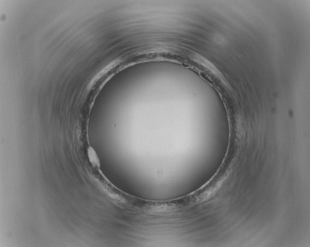 X0000070410826200606302034