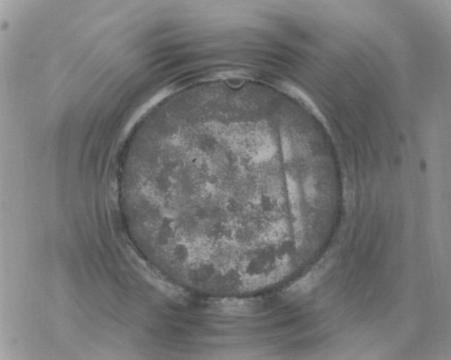 X0000070410827200606302034