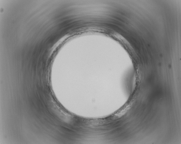 X0000070410828200606302034