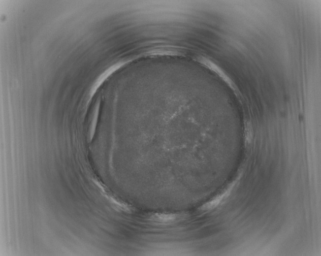 X0000070410829200606302034