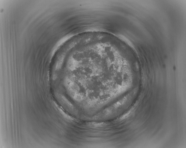 X0000070410831200606302034