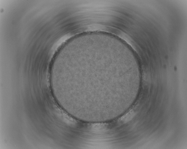 X0000070410832200606302034