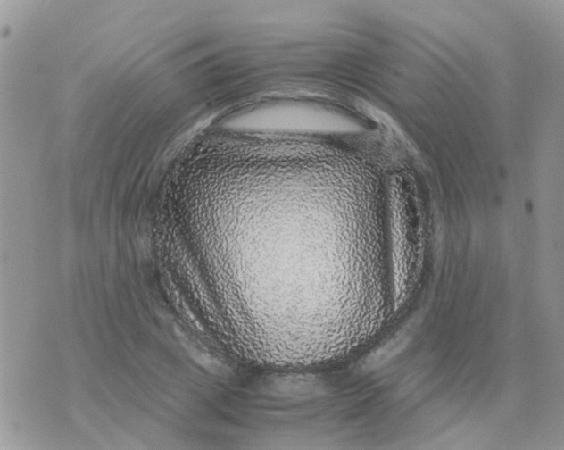 X0000070410833200606302034