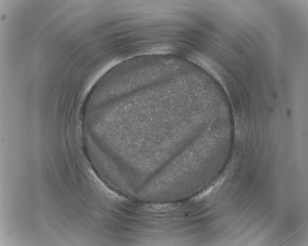 X0000070410835200606302034