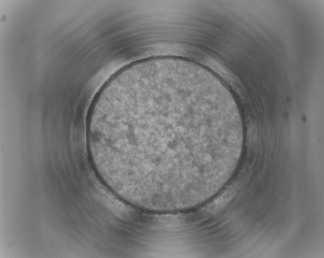 X0000070410836200606302034