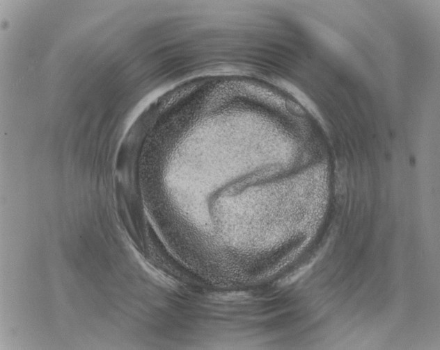 X0000070410837200606302034