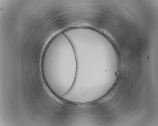 X0000070410840200606302034