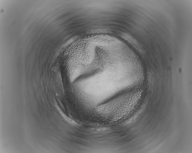 X0000070410841200606302034