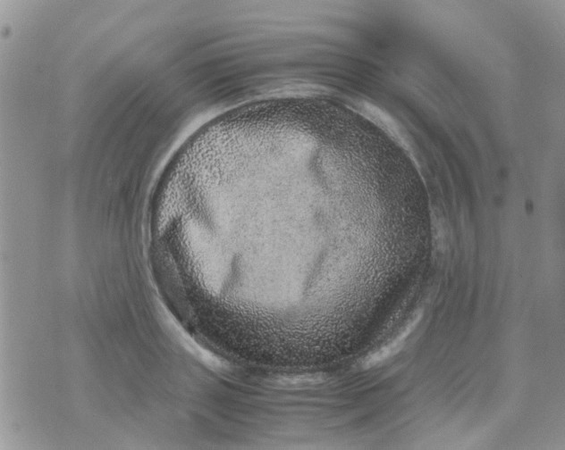 X0000070410843200606302034