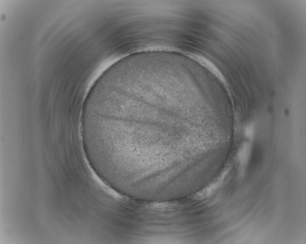 X0000070410847200606302034