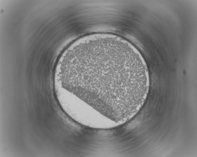 X0000070410848200606302034