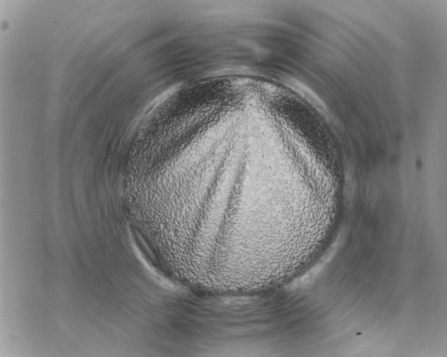 X0000070410849200606302034