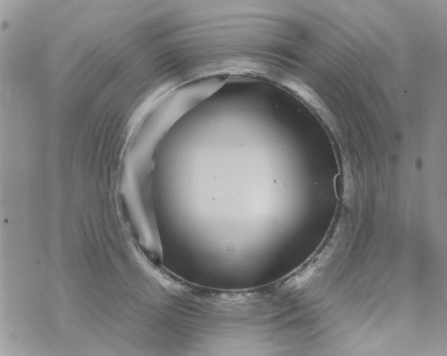 X0000070410850200606302034