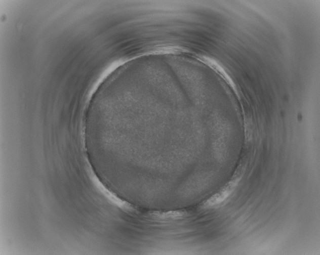 X0000070410851200606302034