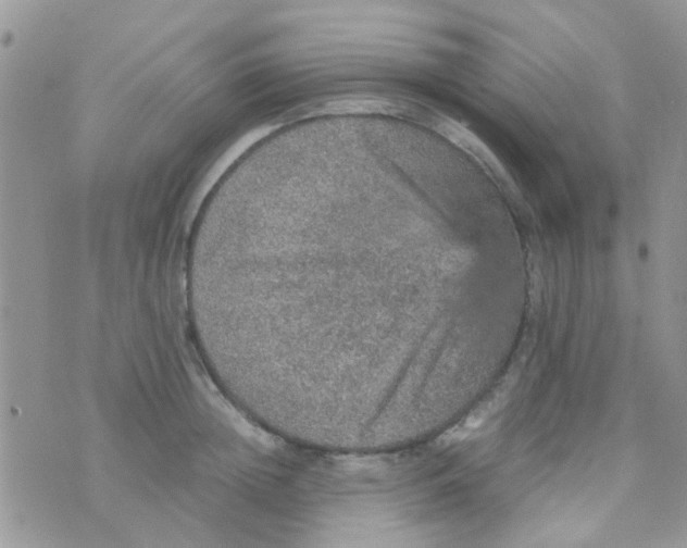 X0000070410852200606302034