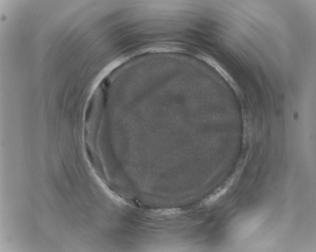 X0000070410853200606302034