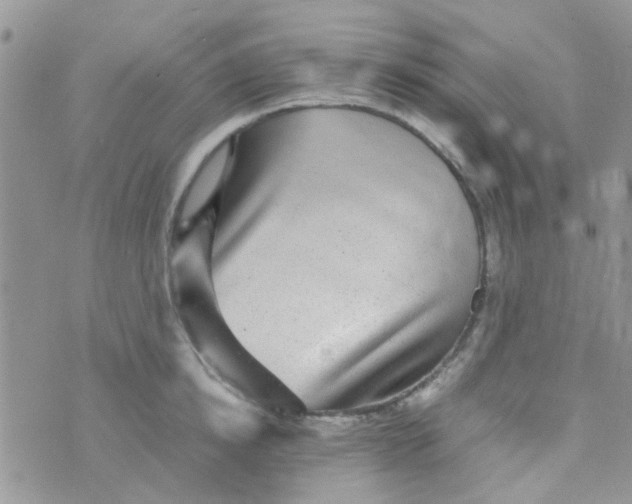 X0000070410854200606302034