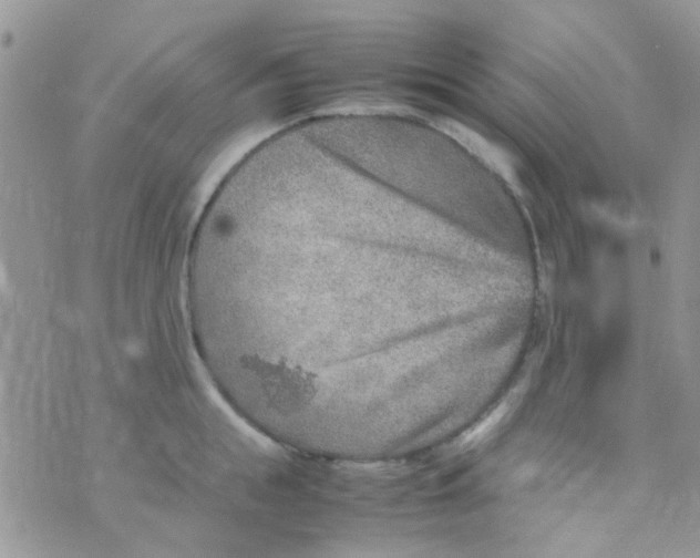 X0000070410855200606302034