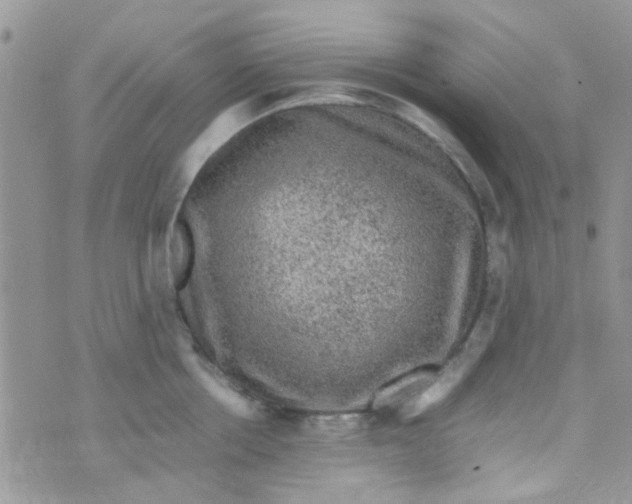 X0000070410858200606302034