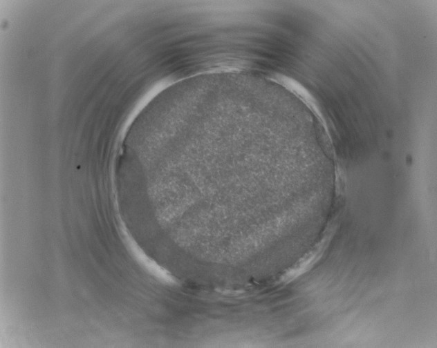 X0000070410859200606302034