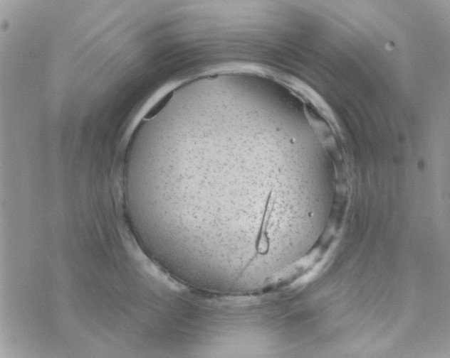 X0000070410860200606302034