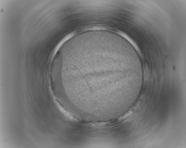 X0000070410861200606302034