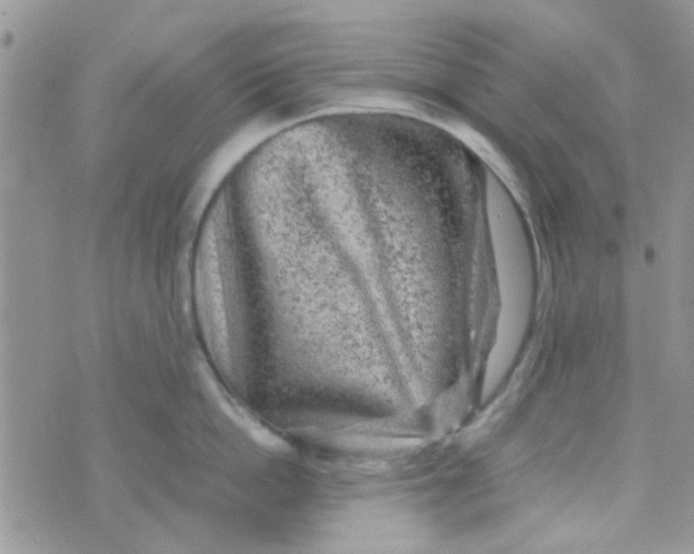 X0000070410862200606302034