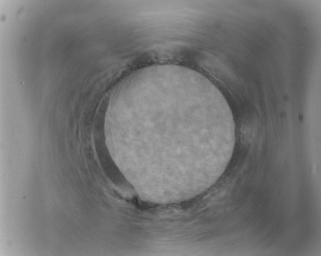 X0000070410865200606302034