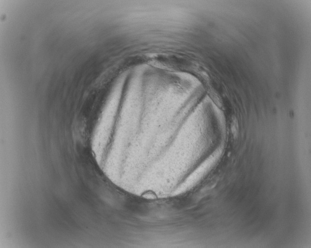 X0000070410867200606302034