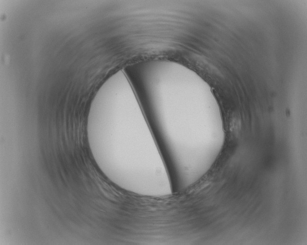 X0000070410868200606302034