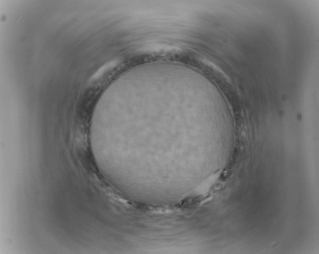 X0000070410869200606302034