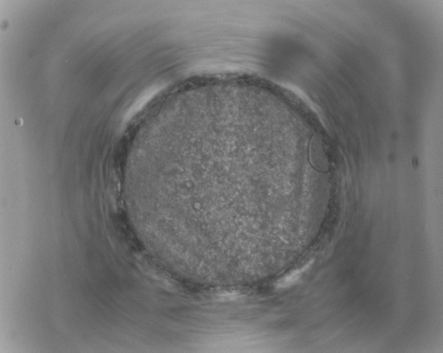 X0000070410871200606302034