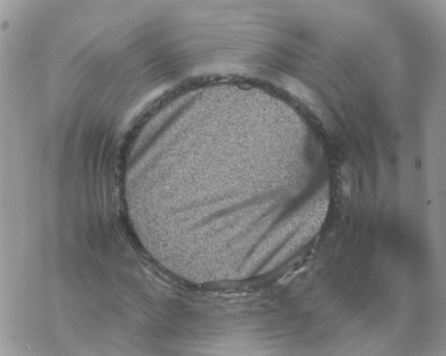 X0000070410872200606302034