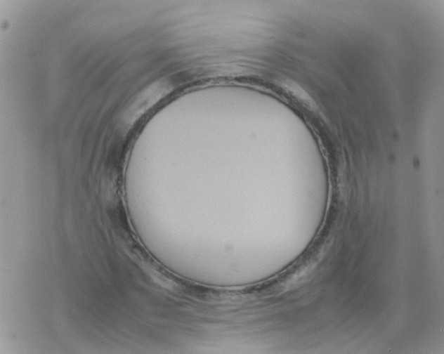 X0000070410873200606302034