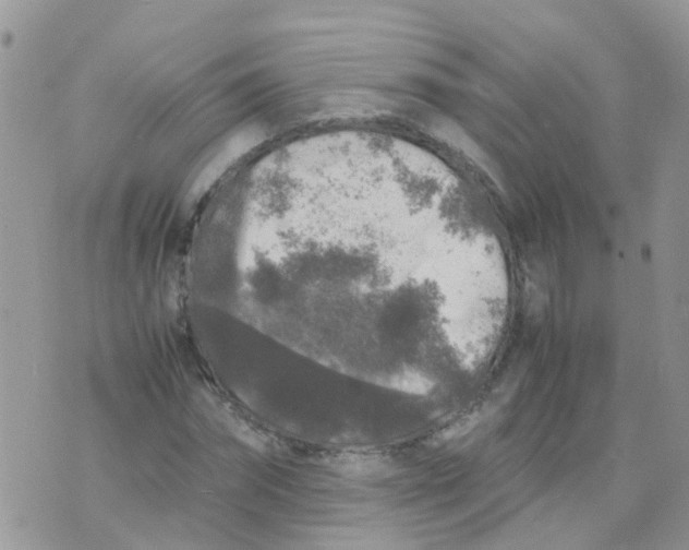 X0000070410874200606302034