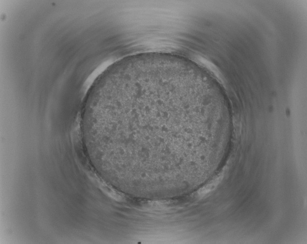 X0000070410875200606302034