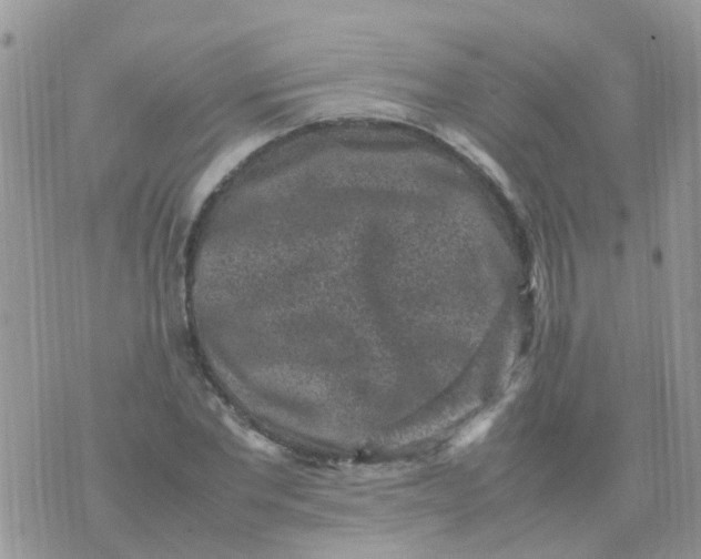 X0000070410877200606302034