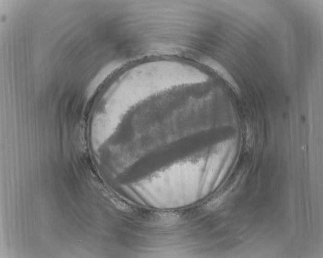 X0000070410878200606302034